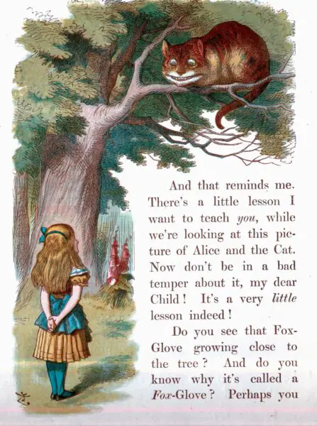 Alice Meets Cheshire Cat