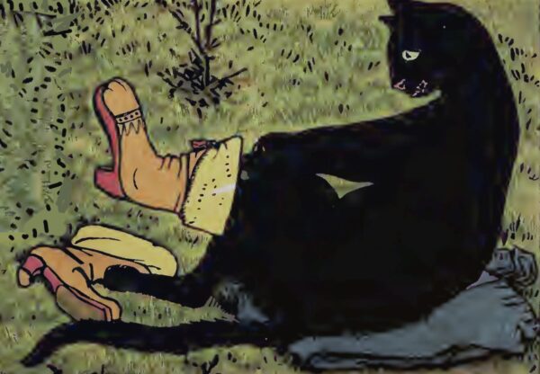 Cat pulls on boots