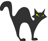 Black Cat Arched Back