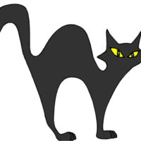 Black Cat Arched Back