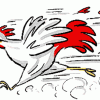Chicken Little