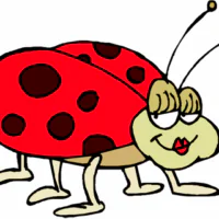 Ladybird