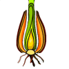 09-secret-garden-bulb