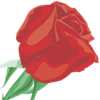 Rose, secret Garden