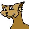 The Good Cat