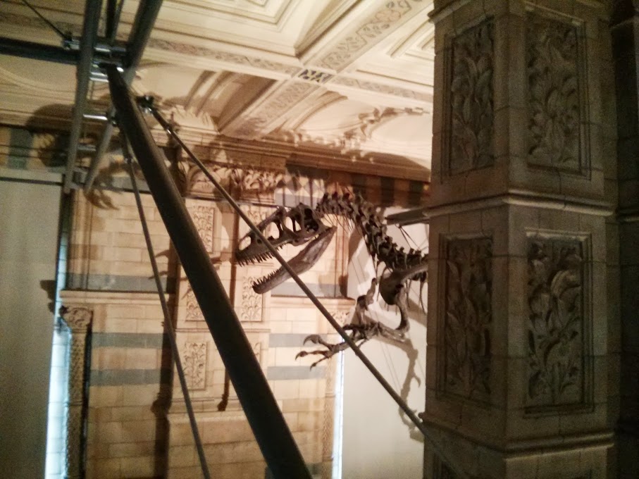 aur national history museum