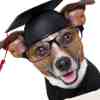 Professor Astropup Thumb