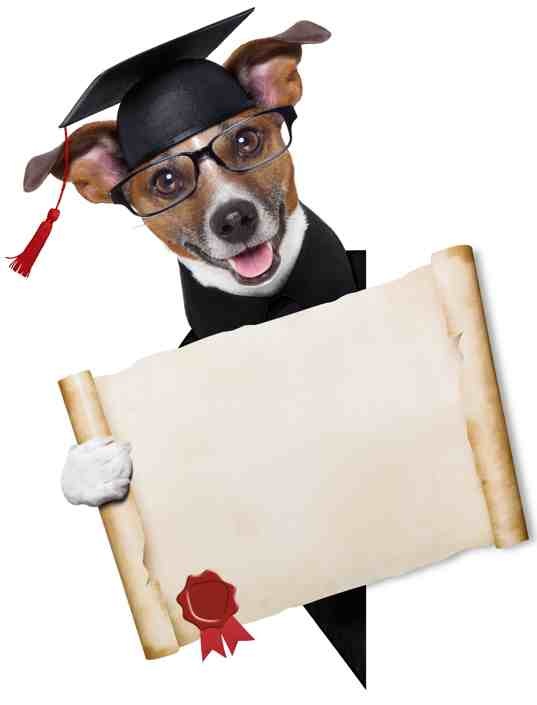 Professor Astropup