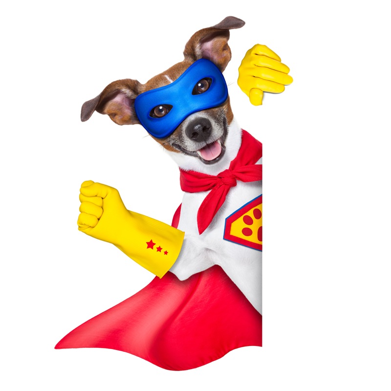 Astropup dog hero