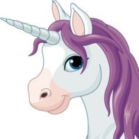 boy unicorn head