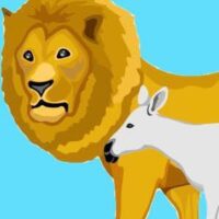 Donkey and Lion Square