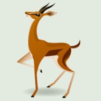The Amazing Gazelle Thumb