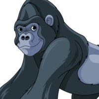 Gorilla Square