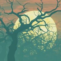 Wicked Spookie Forest