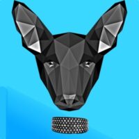 Lady Annabelle's Diamond Dog Collar