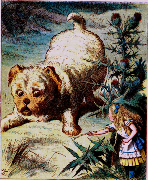 Nursery Alice Colour Pic of puppy dog