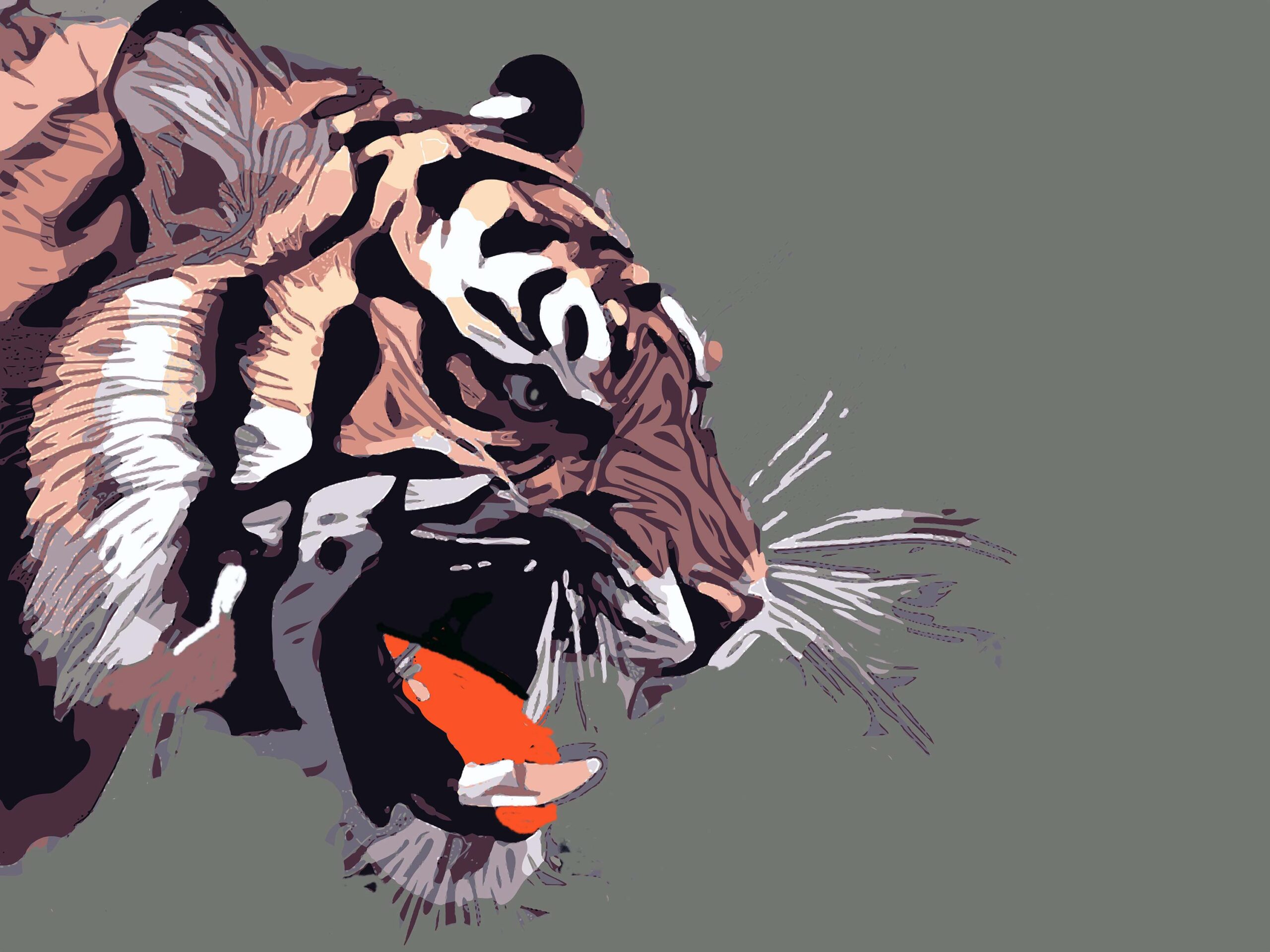 Tiger growl