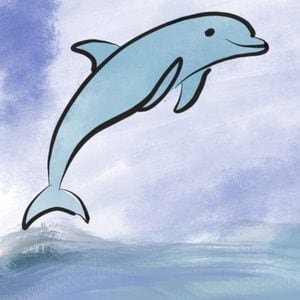 A dolphin jumps