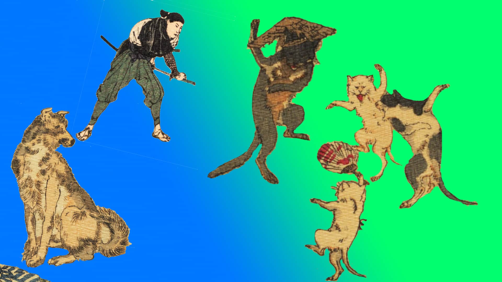 dog, demon cats, warrior