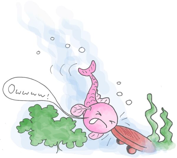 Colin the Carp Bumps his Head