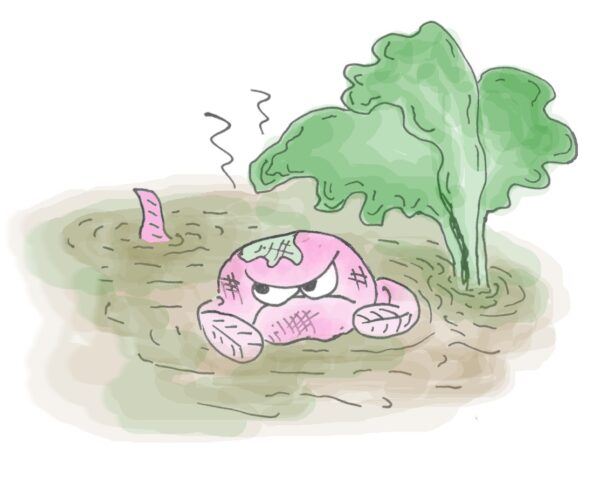 Colin the Grump Carp