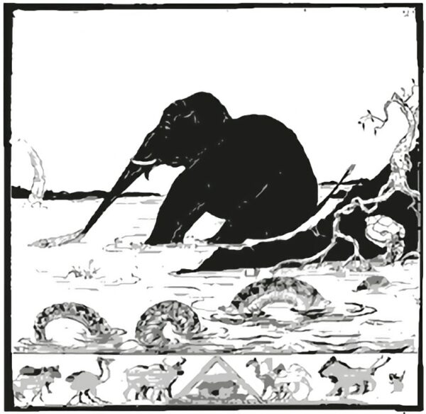 the elephant's child