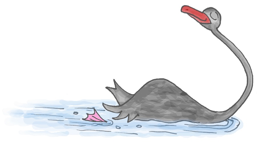 sadie the black swan